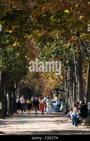Pedestrians walk on tree shaded sidewalks along the Avenue des Champs-Elysees in Paris, France. Stock Photo