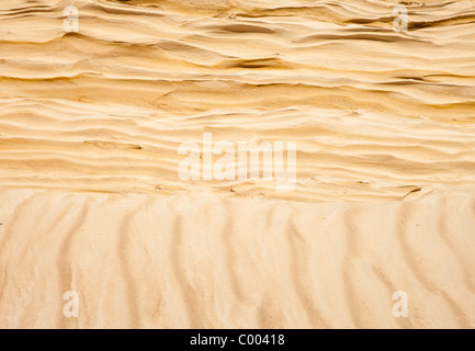 Cross-section  ( strata ) of the soil in a sandy ridge , formed at the ice age , Finland Stock Photo