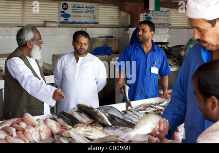 Choosing fresh fish at Dubai's Deira fish market Stock Photo
