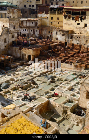 White liming chrome vats and brown tanning pits in Chouara quarter Fes Tannery Fez Morocco North Africa Stock Photo