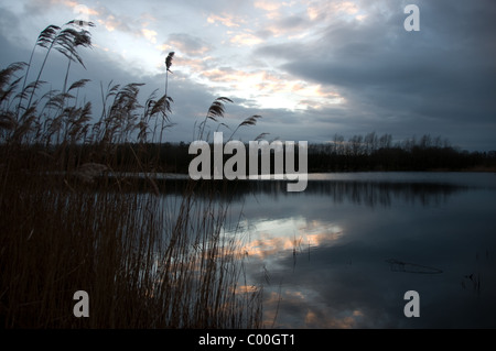 Sunset over the lakes and reed beds of Westhay Nature Reserve, Somerset, England, UK Stock Photo