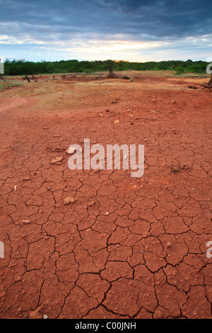 Cracked soil in Sarigua national park, Herrera province, Republic of Panama. Stock Photo