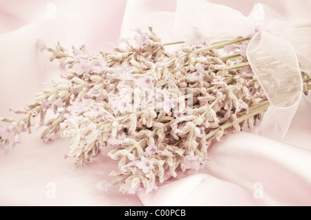 Bunch of dried lavender - vintage look special effect Stock Photo