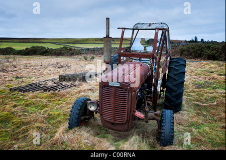 Rusty Ferguson 35 tractor Stock Photo