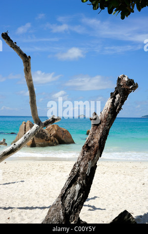 Praslin Island, Seychelles, Paradisiacal Anse Lazio beach, one of the most beautiful beaches in the world Stock Photo