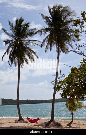 Hammock on coconut palms Sunbay beach in Vieques Island, Puerto Rico. Stock Photo