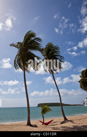 Hammock on coconut palms Sunbay beach in Vieques Island, Puerto Rico. Stock Photo