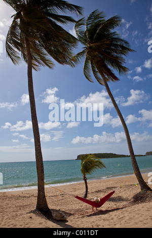 Hammock on coconut palms Sunbay beach in Vieques Island, Puerto Rico. Stock Photo