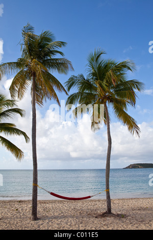 Hammock on coconut palms Sunbay beach in Vieques Island, Puerto Rico. Stock Photo