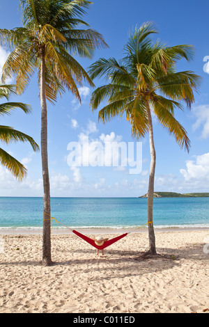 Hammock on coconut palms Sunbay beach in Vieques Island, Puerto Rico. Stock Photo