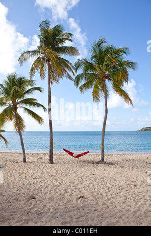 Hammock on coconut palms Sunbay beach in Vieques Island, Puerto Rico. Stock Photo