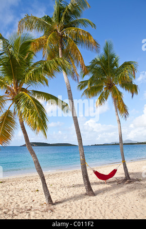 Hammock on coconut palms Sunbay beach in Vieques Island, Puerto Rico. Stock Photo