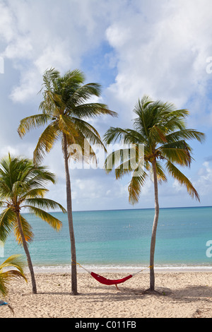 Hammock on coconut palms Sunbay beach in Vieques Island, Puerto Rico. Stock Photo