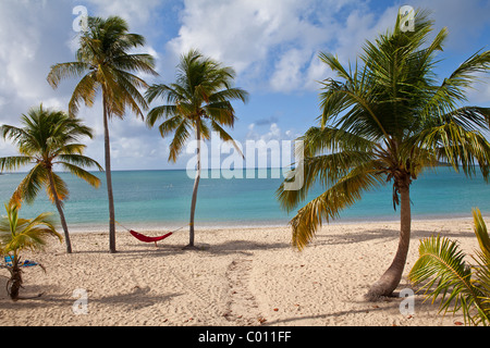 Hammock on coconut palms Sunbay beach in Vieques Island, Puerto Rico. Stock Photo