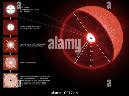 The final stages of the life of a massive star, which will go supernova. Stock Photo