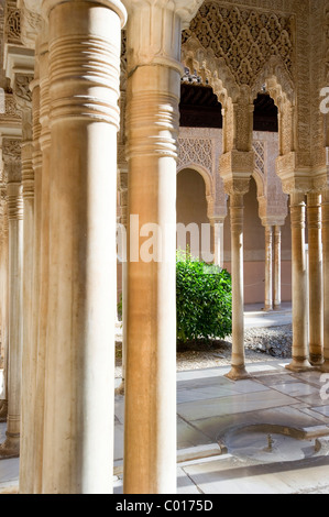 Patio de los Leones, Alhambra, Granada, Andalucia, Spain, Europe Stock Photo
