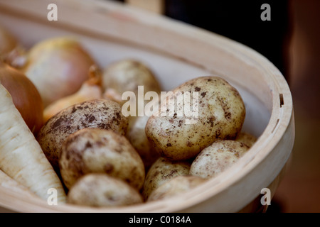 Potatoes, parsnips and onions in a trug Stock Photo