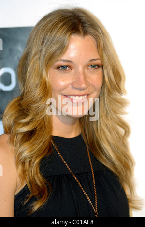 Sarah Roemer Disturbia DVD Premiere party The Standard Downtown Los