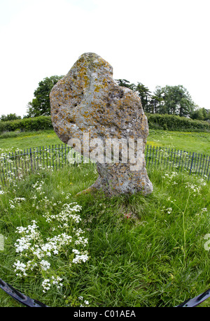 The Kings Stone Rollright Stones Warwickshire UK Stock Photo