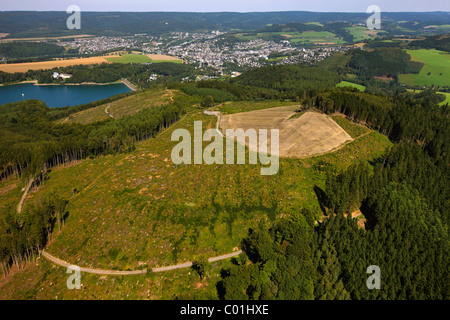 Aerial view, storm damage caused by the cyclone Kyrill in the Hennesee lake area, Meschede, Arnsberg, North Rhine-Westphalia Stock Photo