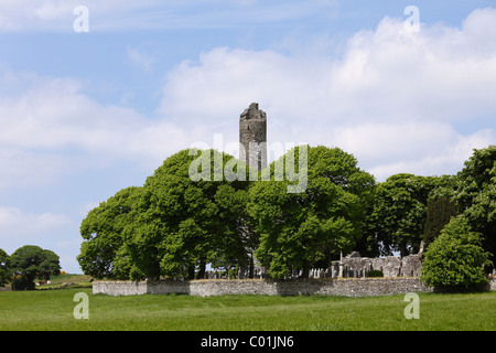 Monasterboice monastery, County Louth, Leinster, Ireland, Europe Stock Photo