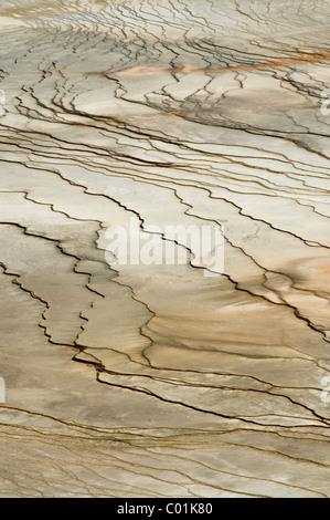 Grand Prismatic Spring, Midway Geyser Basin, Yellowstone National Park, Wyoming, USA, North America Stock Photo