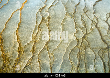 Grand Prismatic Spring, Midway Geyser Basin, Yellowstone National Park, Wyoming, USA, North America Stock Photo