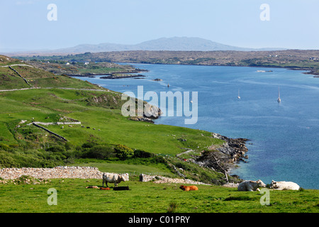 Clifden Castle, view from Skyroad, Connemara, County Galway, Republic of Ireland, Europe Stock Photo