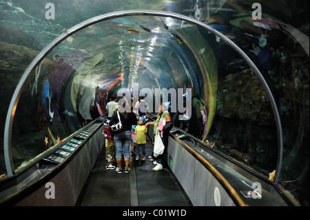 Visitors in an aquarium tunnel in the 'Aquarium by the Bay', San Francisco, California, USA