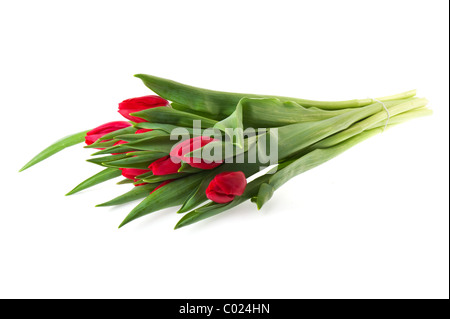 Bouquet red tulips isolated on white background Stock Photo