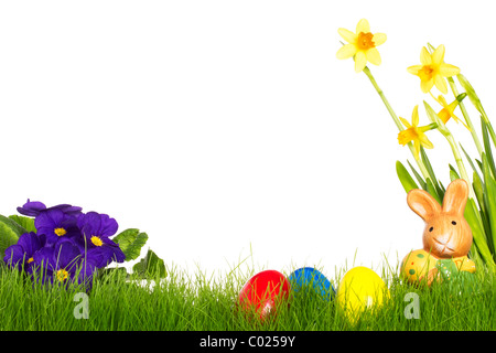 small easter bunny with easter eggs purple daffodil and primula on white background Stock Photo