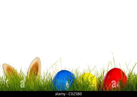three easter eggs in grass with ears from a easter bunny in background on white Stock Photo