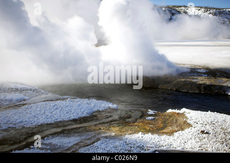geysers in Yellowstone Park Stock Photo