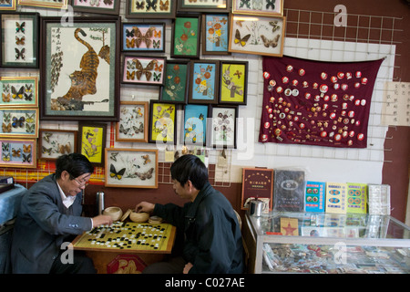 Chairman Mao memorabilia in small shops, in Kunming, Yunnan province, China. Stock Photo