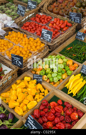 Fresh vegetables, stall on the Viktualienmarkt food market, Munich, Bavaria, Germany, Europe Stock Photo