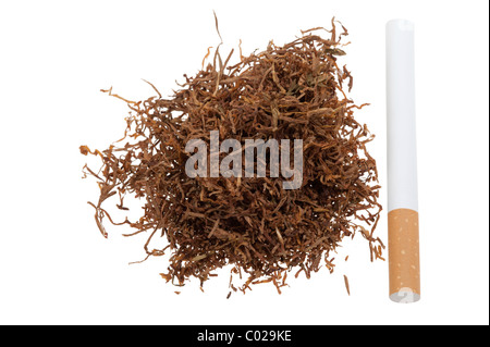 Macro of tobacco and a cigarette isolated on a white background Stock Photo