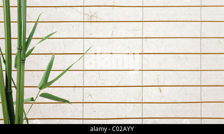 rice paper background with bamboo leaves Stock Photo
