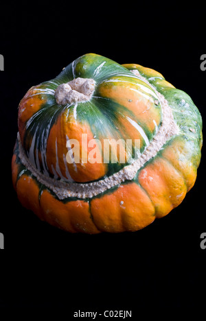 Turk's Turban squash, (Cucurbita maxima). Stock Photo