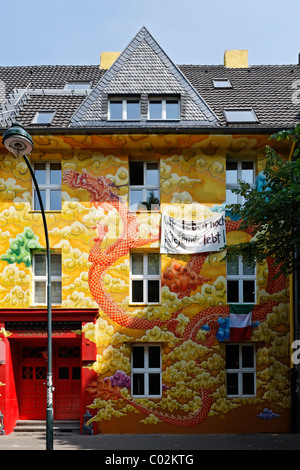 Kiefernstrasse street, house of former squatters, artistically painted facade in street art style, Duesseldorf-Flingern Stock Photo