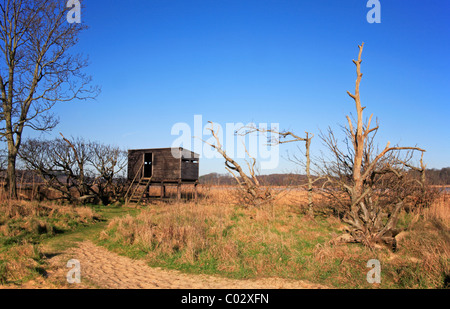 Bird hide on the edge of Benacre Broad National Nature Reserve, Suffolk, England, United Kingdom. Stock Photo