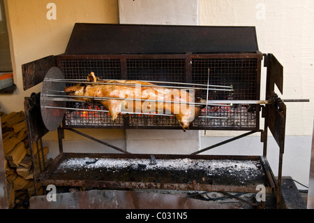 Suckling pig on a spit over embers Stock Photo