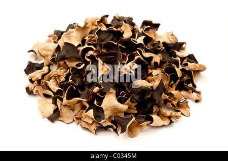 Dried cloud ear fungus on a white background Stock Photo