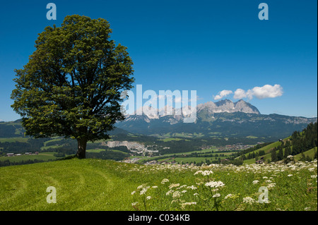 Wilder Kaiser mountain ridge, Tyrol, Austria, Europe Stock Photo