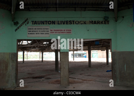 Taunton Livesock Market after it has been closed, the empty cattle pens, sheep pens and auction ring remain during redevelopment. Stock Photo