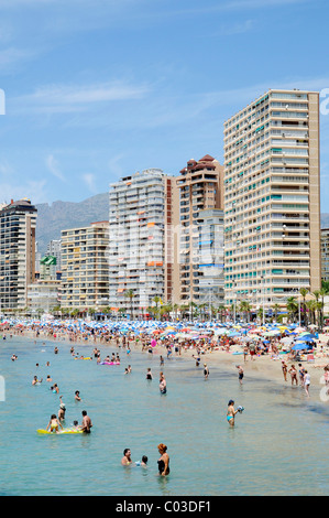 Holidaymakers, skyscrapers, Playa de Levante beach, Benidorm, Costa Blanca, Alicante, Spain, Europe Stock Photo