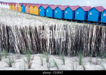 Fortified protective dune planted with beach grass, colorful beach huts, Vlissingen, Walcheren, Zeeland, Netherlands, Benelux Stock Photo
