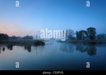 Fog in the morning on a lake in the river elbe floodplains in Dessau, Saxony-Anhalt, Germany, Europe Stock Photo