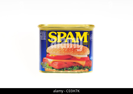 Unopened tin can of Hormel Foods meat product Spam on white background, isolated. USA Stock Photo