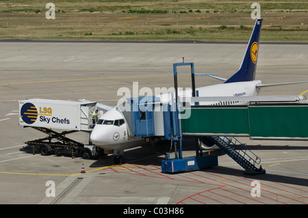 Lufthansa plane being unloaded, container and gangway connected to the airplane, apron, Cologne Bonn Airport Stock Photo