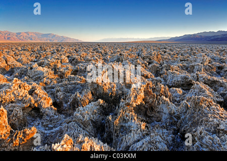 Morning light at the Devil's Golf Course, Death Valley National Park, California, USA, North America Stock Photo